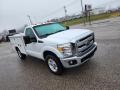 Front 3/4 View of 2014 Ford F250 Super Duty XLT Regular Cab Utility Truck #2