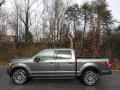  2019 Ford F150 Magnetic #1