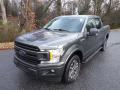  2019 Ford F150 Magnetic #3