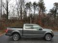  2019 Ford F150 Magnetic #6