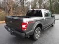  2019 Ford F150 Magnetic #7