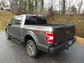  2019 Ford F150 Magnetic #10