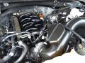  2019 F150 5.0 Liter DI DOHC 32-Valve Ti-VCT E85 V8 Engine #12