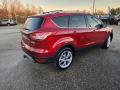 2015 Escape Titanium #5