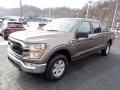  2022 Ford F150 Stone Gray Metallic #4