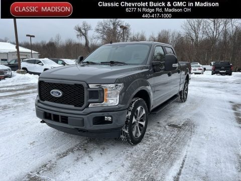 Magnetic Ford F150 STX SuperCrew 4x4.  Click to enlarge.