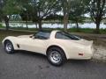 1981 Corvette Coupe #2