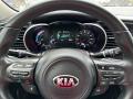  2016 Kia Optima Hybrid Steering Wheel #9
