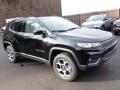 Front 3/4 View of 2022 Jeep Compass Trailhawk 4x4 #8