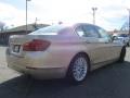 2011 5 Series 535i Sedan #10