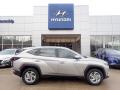  2023 Hyundai Tucson Shimmering Silver #1