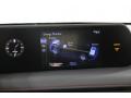 Controls of 2021 Lexus UX 250h F Sport AWD #13