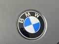  2019 BMW Z4 Logo #7