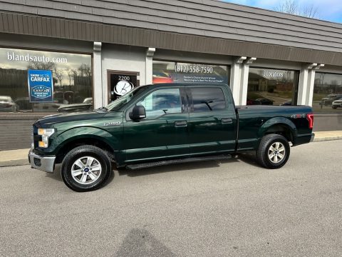 Green Gem Ford F150 XLT SuperCrew 4x4.  Click to enlarge.