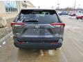 2019 RAV4 XLE #2