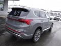 2022 Santa Fe Calligraphy AWD #10