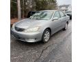 2006 Camry XLE #1
