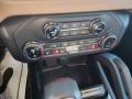 Controls of 2022 Ford Bronco Wildtrak 4x4 4-Door #18