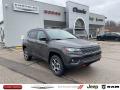 2022 Compass Trailhawk 4x4 #1 2022 Compass Trailhawk 4x4 #1
