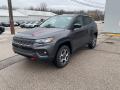 2022 Compass Trailhawk 4x4 #3 2022 Compass Trailhawk 4x4 #3