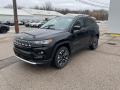 2022 Compass Limited 4x4 #3