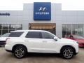  2023 Hyundai Palisade Hyper White #1