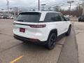 2023 Grand Cherokee Altitude 4x4 #4