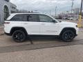 2023 Grand Cherokee Altitude 4x4 #5