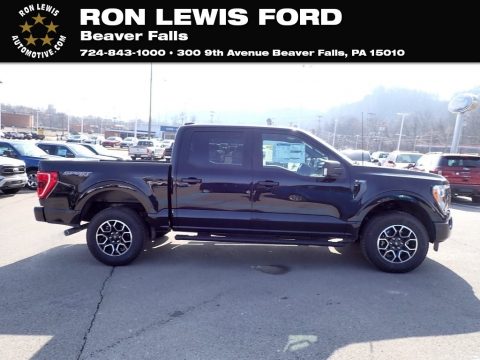 Agate Black Metallic Ford F150 XLT SuperCrew 4x4.  Click to enlarge.