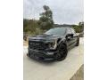 2021 Ford F150 Shelby Super Snake Crew Cab 4x4 Agate Black