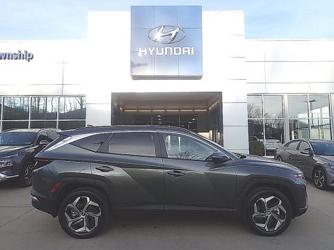 Amazon Gray Hyundai Tucson SEL AWD.  Click to enlarge.