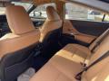 Rear Seat of 2023 Lexus ES 350 #3