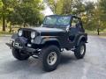 Front 3/4 View of 1980 Jeep CJ5 4x4 #2