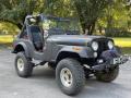  1980 Jeep CJ5 Classic Black #5