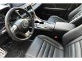  2021 Lexus RX Black Interior #10