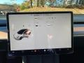 Controls of 2023 Tesla Model 3 RWD #2