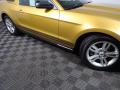 2010 Mustang V6 Coupe #3