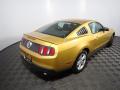 2010 Mustang V6 Coupe #15