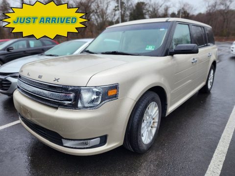 White Gold Ford Flex SEL.  Click to enlarge.