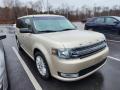 Front 3/4 View of 2018 Ford Flex SEL #2