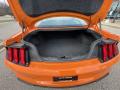  2020 Ford Mustang Trunk #17