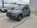 2022 Compass Trailhawk 4x4 #7
