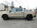 2023 Silverado 1500 Custom Trail Boss Crew Cab 4x4 #11