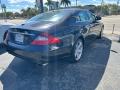 2006 CLS 500 #36