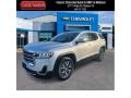 2020 Acadia SLE #1
