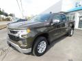  2023 Chevrolet Silverado 1500 Harvest Bronze Metallic #2