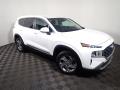 2021 Santa Fe SE AWD #3 2021 Santa Fe SE AWD #3