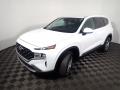 2021 Santa Fe SE AWD #9 2021 Santa Fe SE AWD #9