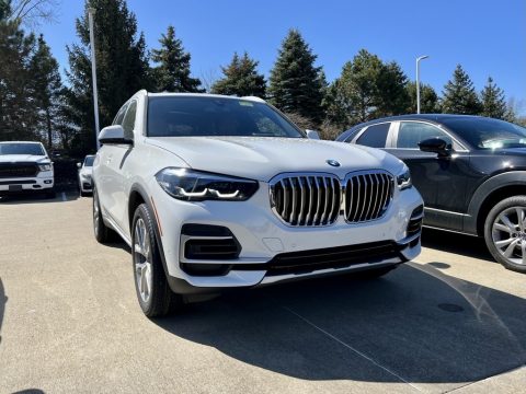 Alpine White BMW X5 xDrive40i.  Click to enlarge.