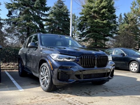 Carbon Black Metallic BMW X5 xDrive40i.  Click to enlarge.